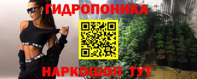 спиды Краснознаменск